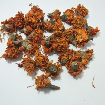 Marigold