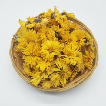 The Golden Chamomile