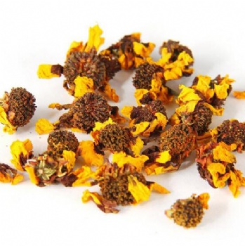 Snow chrysanthemum