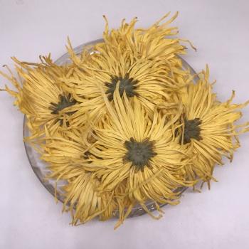 Golden Silk Emperor Chrysanthemum