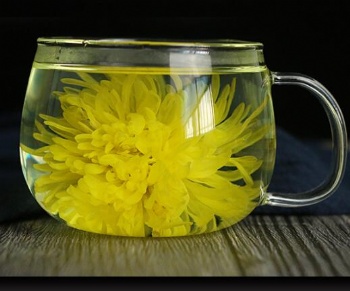 Golden Silk Emperor Chrysanthemum