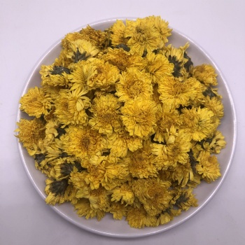 Wuyuan Imperial Chrysanthemum