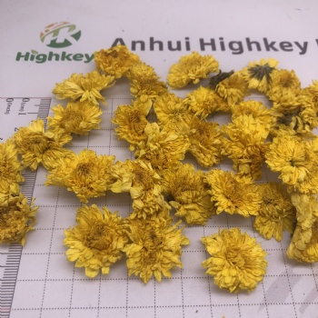 Wuyuan Imperial Chrysanthemum