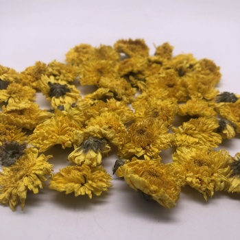 Wuyuan Imperial Chrysanthemum