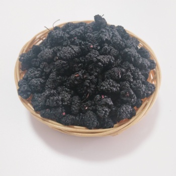 mulberry