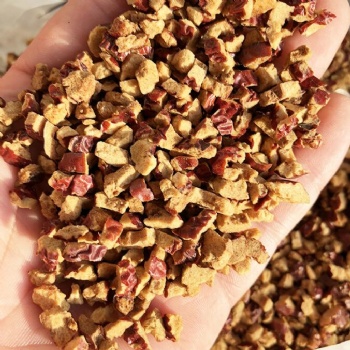Jujube wholesale