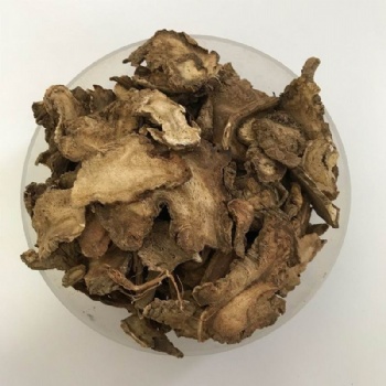 Radix Angelicae Pubescentis