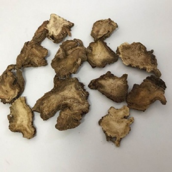 Radix Angelicae Pubescentis