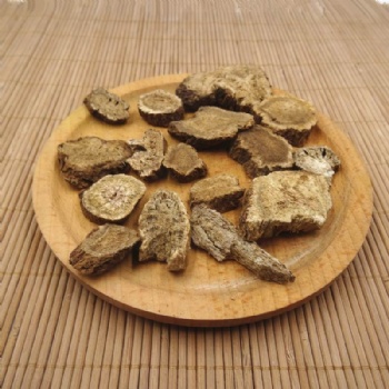 Aplotaxis auriculata