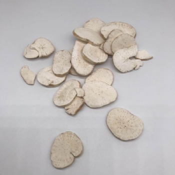Radix Trichosanthis Slice