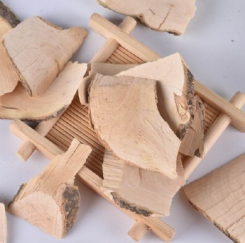 Pubescent Holly Root