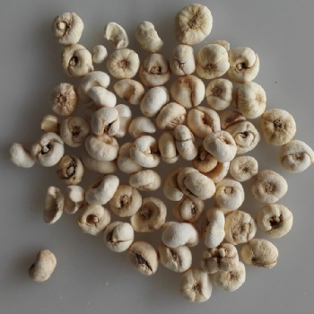 Bulbus Fritillariae Ussuriensis