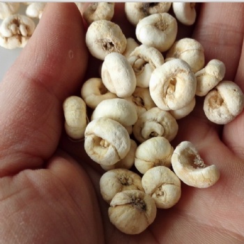 Bulbus Fritillariae Ussuriensis