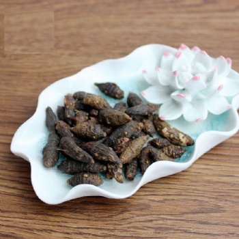 Prepared Aconite Root