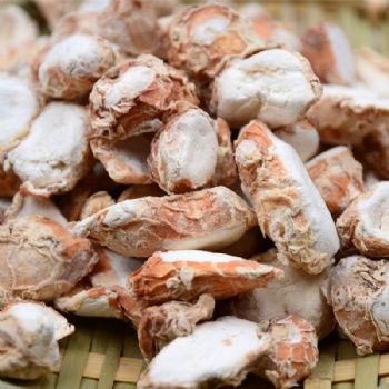 Kaempferiae Galangal