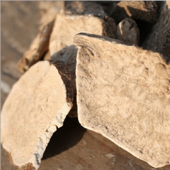 Trichosanthes Palmata