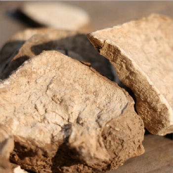 Trichosanthes Palmata