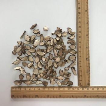 Rhizoma Acori Graminei