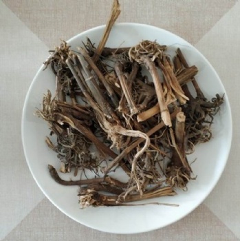 Echinacea Root