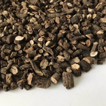 Rhizoma Curculiginis