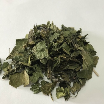Mulberry leaf
