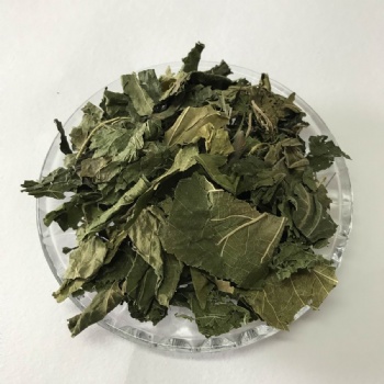 Mulberry leaf
