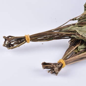 Ginseng Leaf
