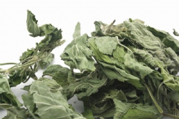 Mint Leaf