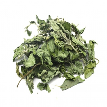 Mint Leaf