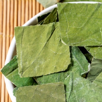 Natural Dried Lotus Leaf