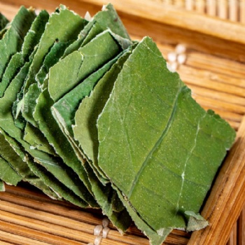 Natural Dried Lotus Leaf