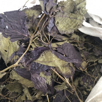 Perilla Leaf