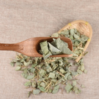 Desmodium