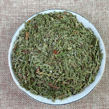 Oriental Arborvitae