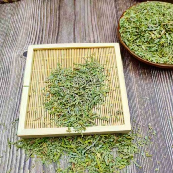 Oriental Arborvitae