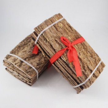 Eucommia Bark