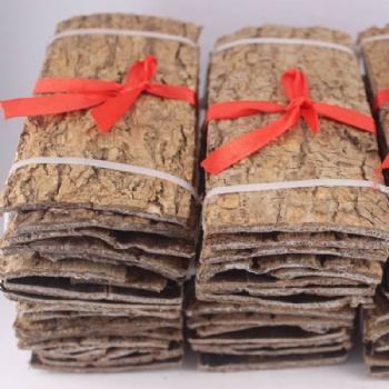 Eucommia Bark