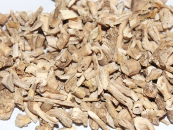 Densefruit Pittany Root-bark