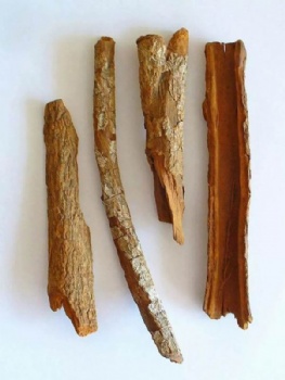 Quinine Bark