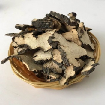 Grifola
