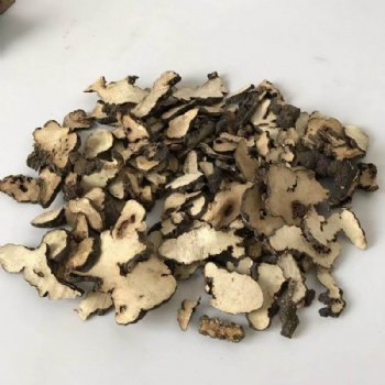 Grifola