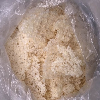 Tremella