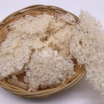 Tremella