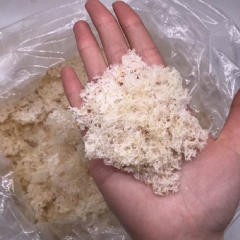 Tremella
