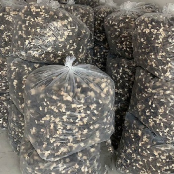 Morel Mushrooms
