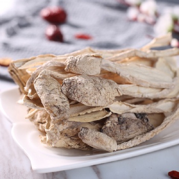 King Oyster Mushroom
