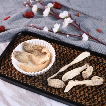 King Oyster Mushroom