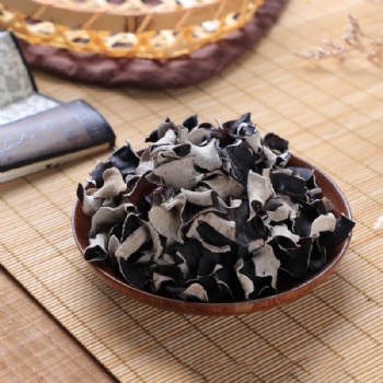 White-backed Auricularia