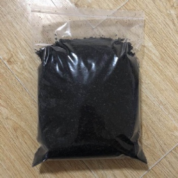 Black Ants