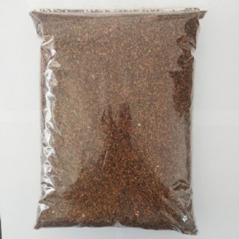 Chaga mushroom